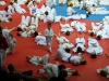 mercredi-edf-judo-161