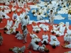 mercredi-edf-judo-162