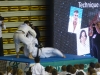 mercredi-edf-judo-288